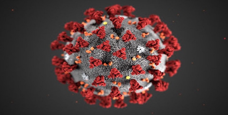 آنچه باید از ویروس کرونا بدانیم